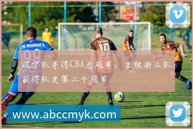 辽宁队夺得CBA总冠军,击败浙江队获得队史第二个冠军